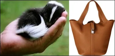 « Je me fais farcir la mottelette
Je me fais couvrir le rigondonne
Je me fais gonfler ...
Je me fais donner ... »