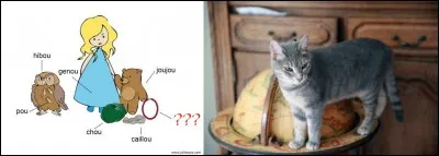 « Je me fais chevaucher la chosette
Je me fais chatouiller ...
Je me fais bricoler la cliquette
Je me fais gâter .... »