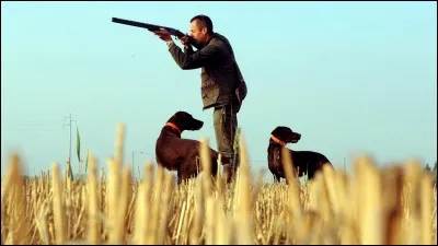 Quel est le titre exact d'une chanson de Francis Cabrel ?