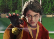 Quiz Harry Potter 1, chapitre 11 : Le match de Quidditch