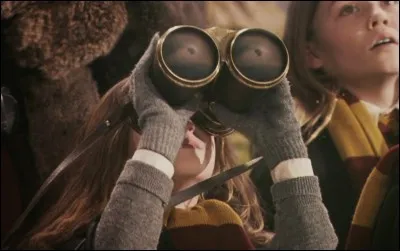 À cet instant, Harry perd le contrôle de son balai, qui se met à tournoyer et à être pris de soubresauts. Hermione repère le professeur Rogue, en train de proférer des incantations, et se dirige vers sa place pour le déconcentrer. Qui croise-t-elle en chemin ?