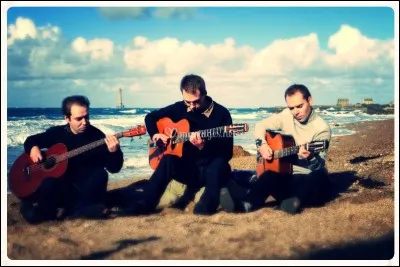 Comment nomme-t-on les Roms installés en Allemagne au XVe siècle ?