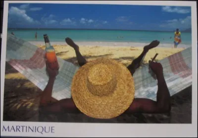 Qui chantait "Donne du rhum à ton homme" ?