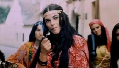 Dans quels pays les Roms nommés tziganes se sont-il installés ?