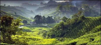 Selon les autres, tu es plutôt :