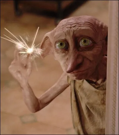 Comment se prénomme cet elfe de maison ?