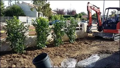 Quels sont ces végét__x ?