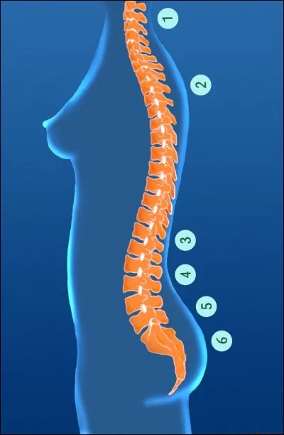 Je ressens des douleurs au d__s.