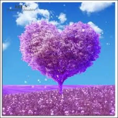 Complétez cette expression : "En avoir le cur...