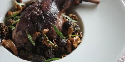 Cet animal est surnommé rouquin ou oreillard !