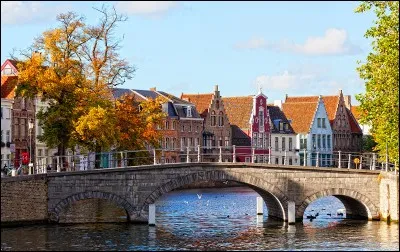 Bruges est une ville de Belgique, capitale de la Flandre occidentale.
Dans quel autre pays pourriez-vous visiter Bruges ?