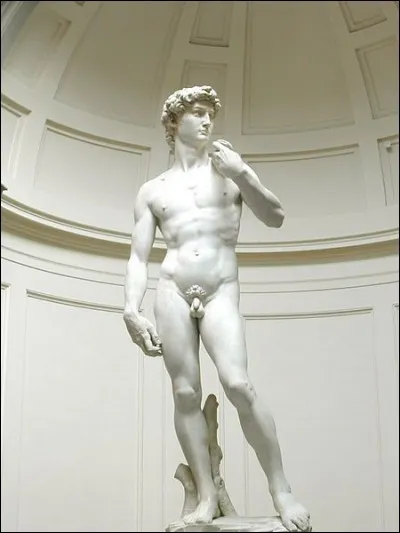Vous devez vous rendre à Rome pour voir le David de Michel-Ange.