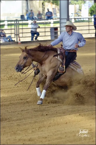 Les garçons peuvent faire des compétition équestres.