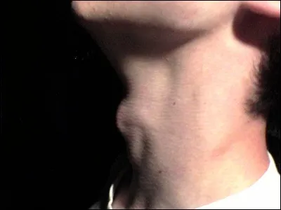 Quel fruit peut être "Akane", "Idared" ou "Calville" ?