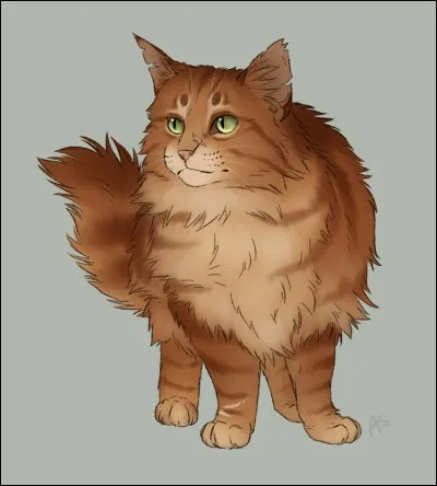 Quelle est ta nourriture préférée ?