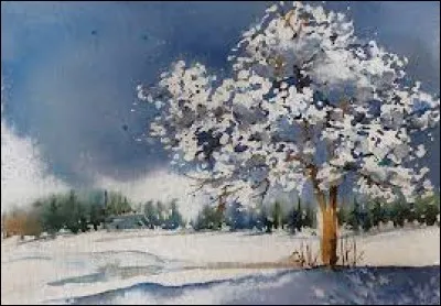 Berger de Provence :