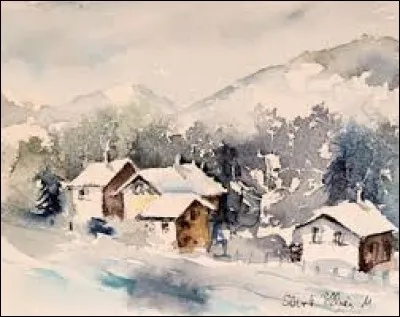 C'est un oiseau des forêts d'Amazonie :