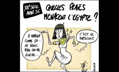 « En prenant le bac sur l'Essonne, je vis en chemin un gaillard en galoche embourbé dans la bouse jusqu'au jarret : il était prêt à sombrer dans la Nièvre, le bougre ! » Combien comptez-vous de mots d'origine gauloise ?