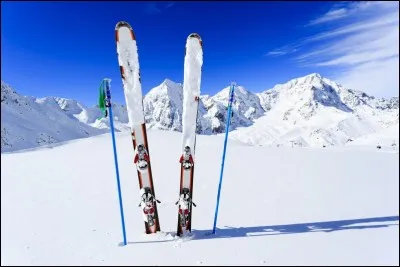 Laquelle de ces propositions est une marque de skis ?