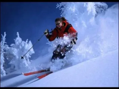 Quelle est la bonne marque de skis !