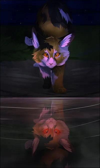 Je suis Ombre d'érable, mon rôle au sein du clan était :