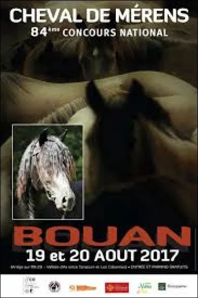 Petit village Ariégeois de 36 habitants, connu pour sa fête annuelle du cheval de Mérens (d'où cette affiche), Bouan se situe en région ...