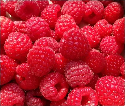 Comment s'appellent ces fruits ?