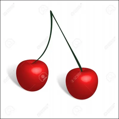Comment s'appellent ces fruits ?