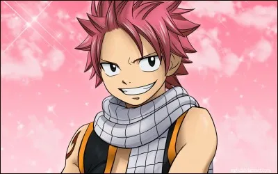 Quelle est la couleur de cheveux de Natsu ?