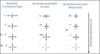 Cochez les affirmations exactes à propos de ce tableau.