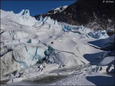 Où se trouve le glacier Mendenhall ?