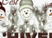 Quiz Un quizz hivernal