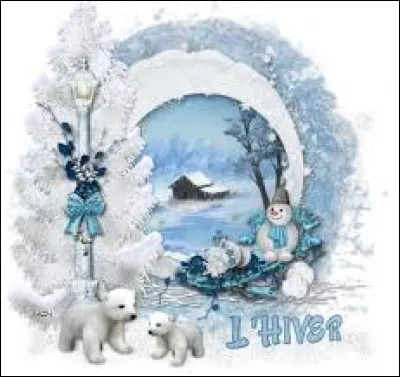 Dans l'hémisphère Sud, durant quels mois se déroule l'hiver ?