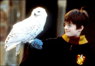 A quel âge Harry entre-t-il à Poudlard ?