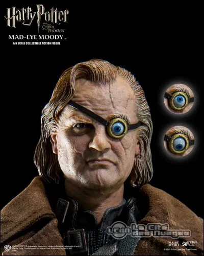 Dans le 4e tome, qui a pris l'apparence de Maugrey Fol �il ?