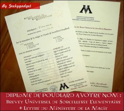 En quelle mati&egrave;re Harry a-t-il obtenu un Optimal &agrave; ses B.U.S.E ?