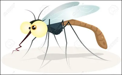 Quelle maladie peuvent transmettre les moustiques ?