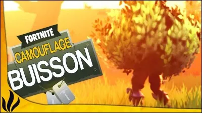 Quelle est ta réaction quand tu vois cet item ?