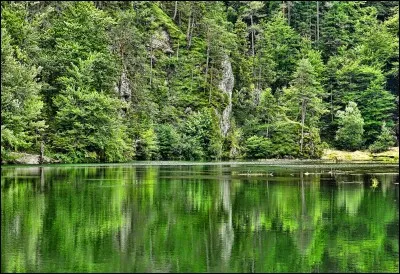 Quand tu fais le point sur l'année, ce qui te manque le plus c'est :
