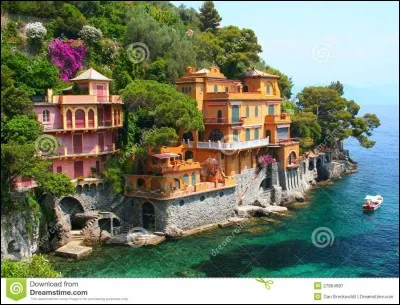 Tu pourrais vivre...