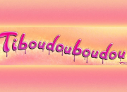 Quiz Connais-tu Tiboudouboudou ?