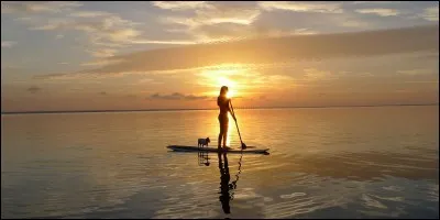 Aimes-tu la solitude ?