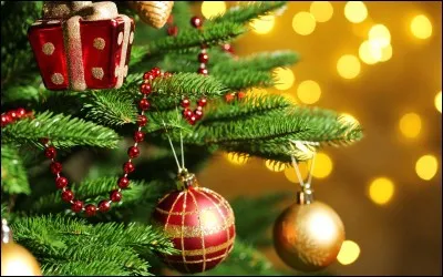 Quel est le titre du merveilleux récit qu'elle nous a lu tout au long du mois de décembre 2017 ?