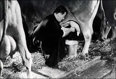 Quel est le titre de ce film ?