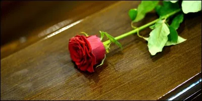 Tu as tué quelqu'un. Que fais-tu ?