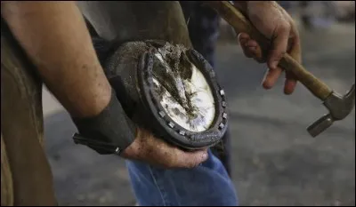 Le cheval est bien ferré lorsque :