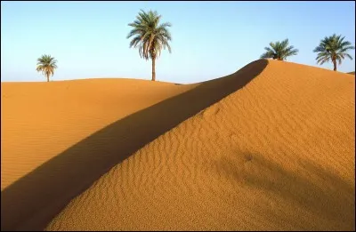 Le Sahara ne contient pas de...