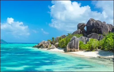 Sur les côtes de l'Afrique du Sud, il n'y a pas de...