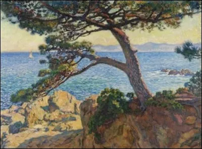 Quel peintre belge (1862-1926) qui a été l'un des principaux représentants du divisionnisme en Belgique s'est établi à St Clair en Provence en 1910 ?