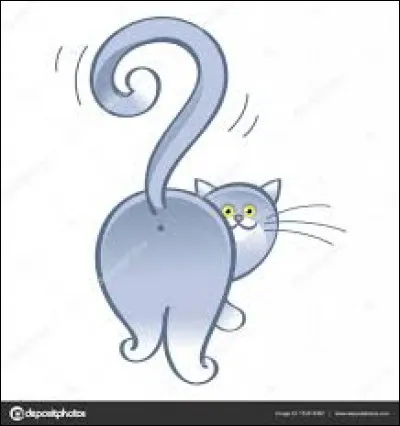 Dénichez l'intrus !